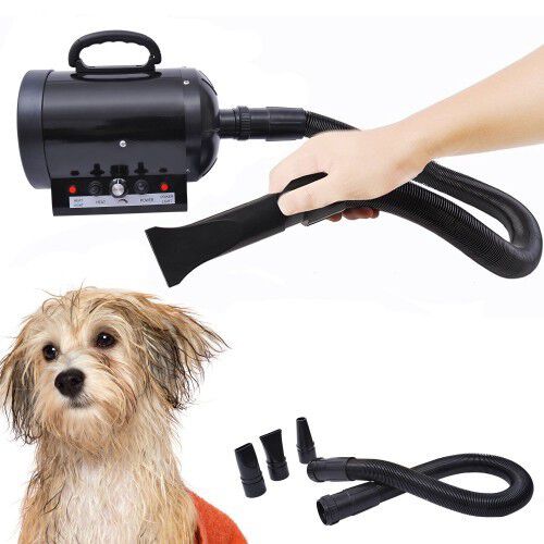 Secador mascotas best sale