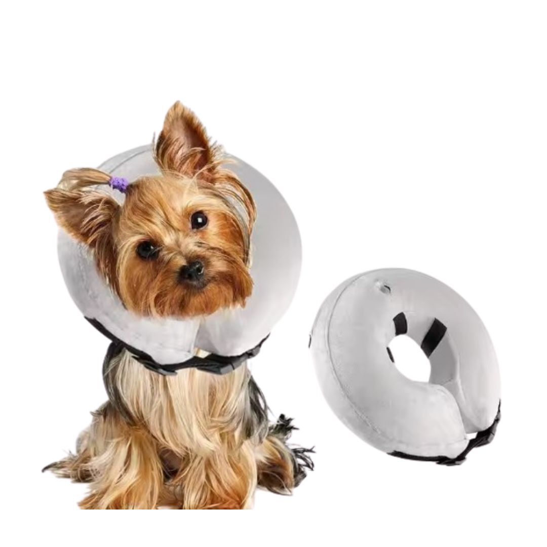 Ideal Pets, Collar Isabelino para Perros + Collar a medida| Collar de Recuperaci&oacute;n para Perro | Collar Perros para No Rascarse, , large Imagen numero 4