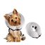 Ideal Pets, Collar Isabelino para Perros + Collar a medida| Collar de Recuperación para Perro | Collar Perros para No Rascarse, , large indicador imagen numero 4
