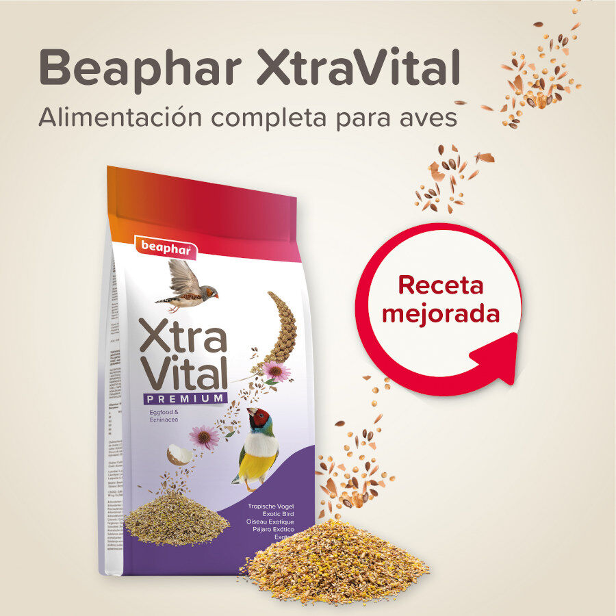 Beaphar XtraVital Premium Mixtura de Semillas para pájaros exóticos thumbnail
