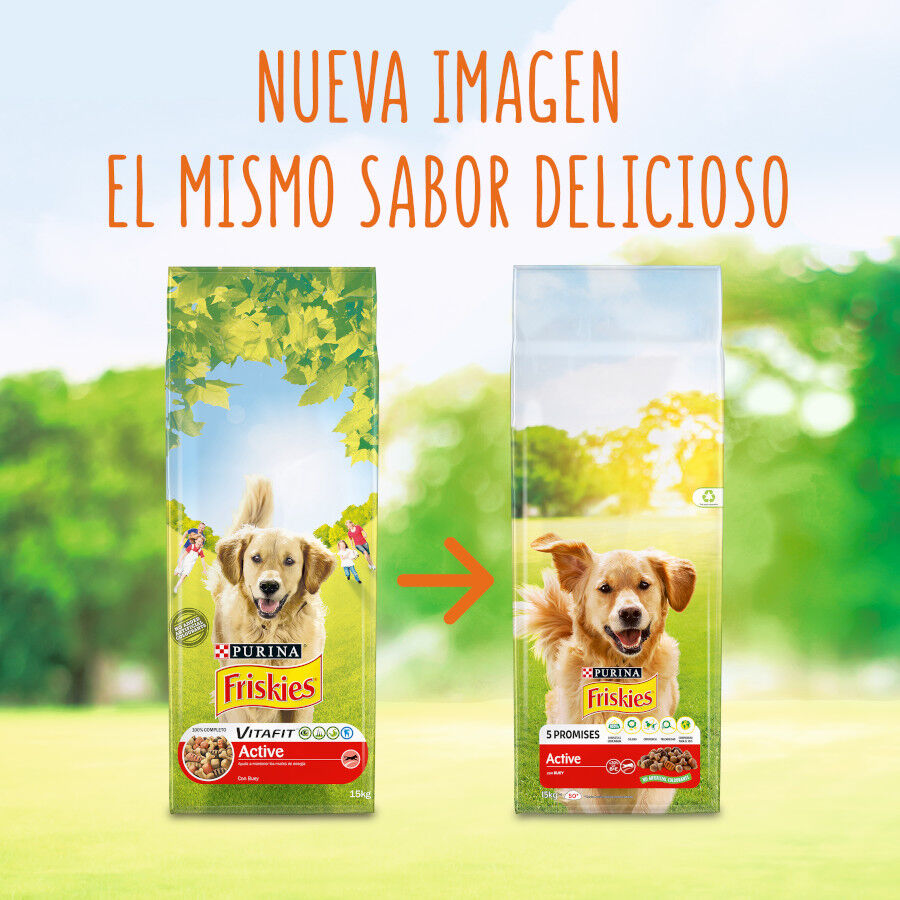 Friskies Active Pienso para perros thumbnail