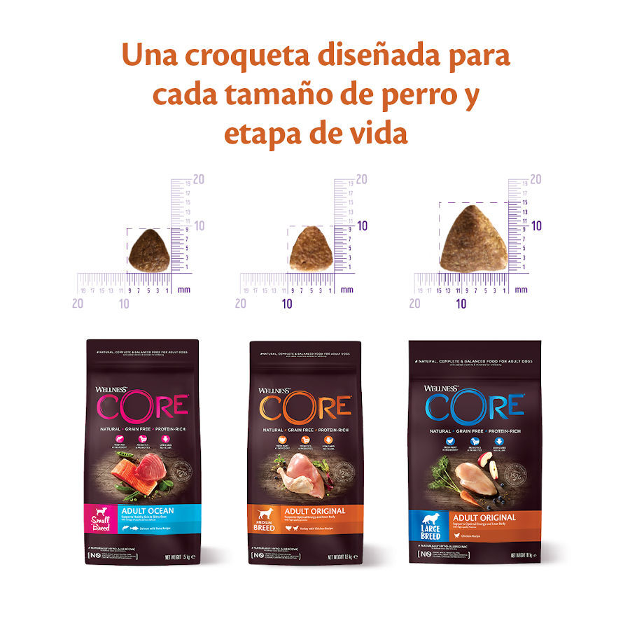 Wellness Core Adult Small Healthy Pavo pienso para perros thumbnail