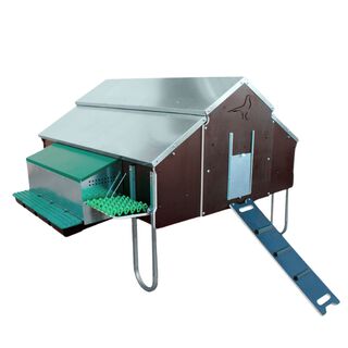 Gallinero Bretaña de madera, chapa galvanizada y plástico con una capacidad de 25-30 gallinas Sin ruedas