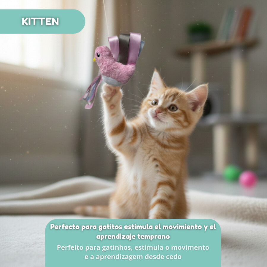 Tootoy! Peluche con Catnip P&aacute;jaro con Lazos para gatitos, , large Imagen numero 5