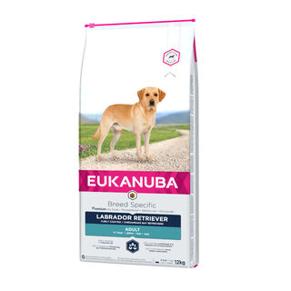 Eukanuba Adult Labrador Retriever pienso para perros