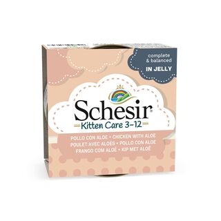 Schesir Kitten pollo con aloe latas para gatitos