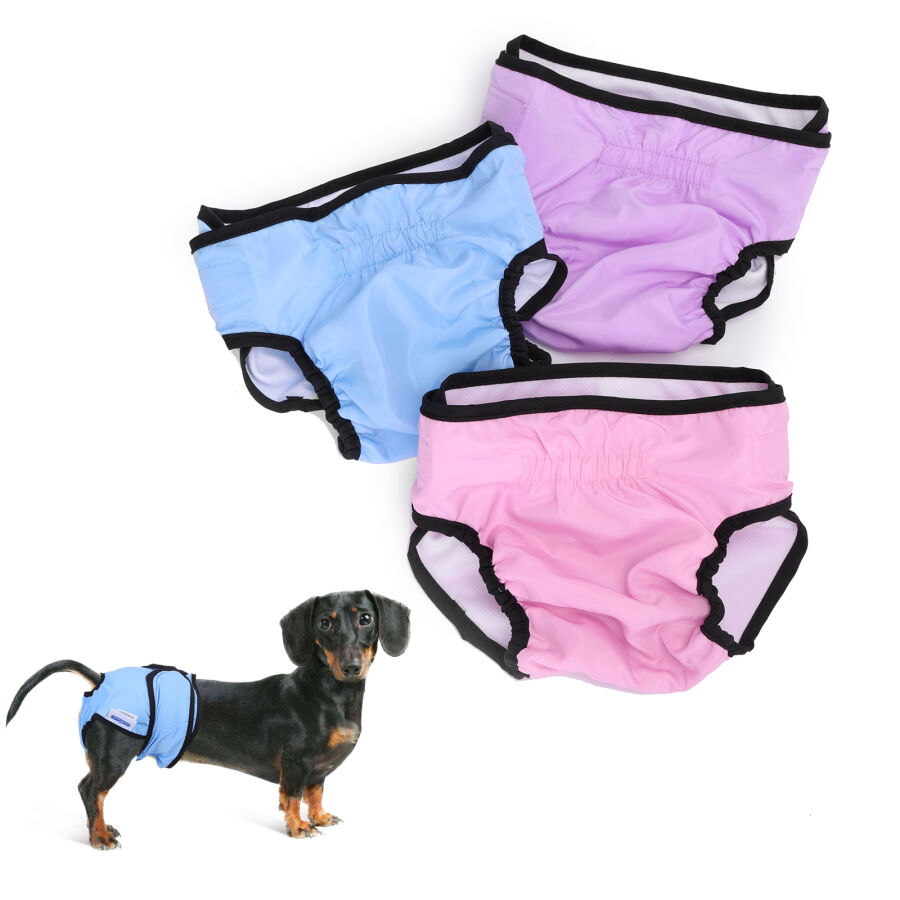 Nobleza 3X Pa&ntilde;ales Lavables para Perros, Bragas Higi&eacute;nica para Perras en Celo, Reutilizable Mascotas Sanitarios Pa&ntilde;al para Perros Hembras (M Cintura 35-45cm, 3 Packs, Azul, Rosa y Violeta), , large Imagen numero 6