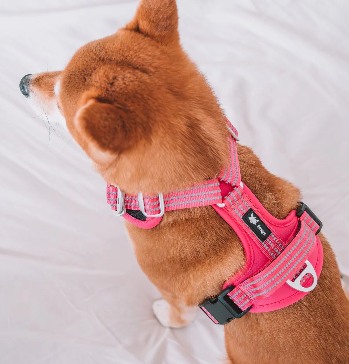 Arn&eacute;s CountryFox&trade; Pro &bull; Rosa, , large Imagen numero 4