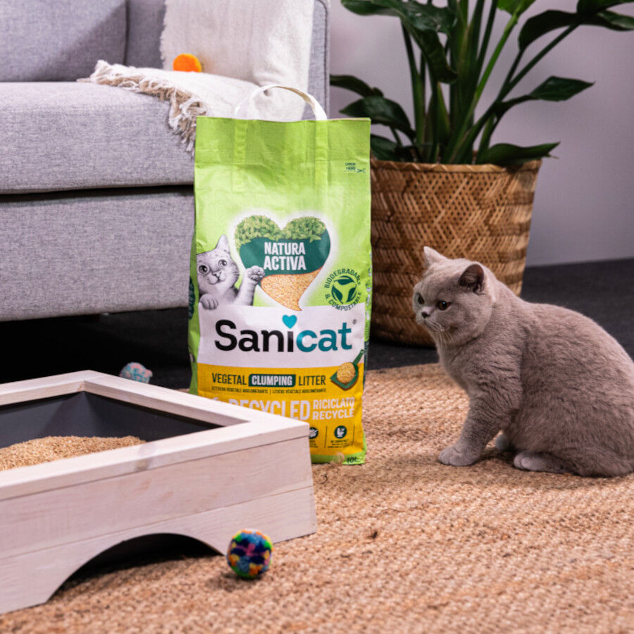 Sanicat Natura Activa Recycled Arena para gatos thumbnail