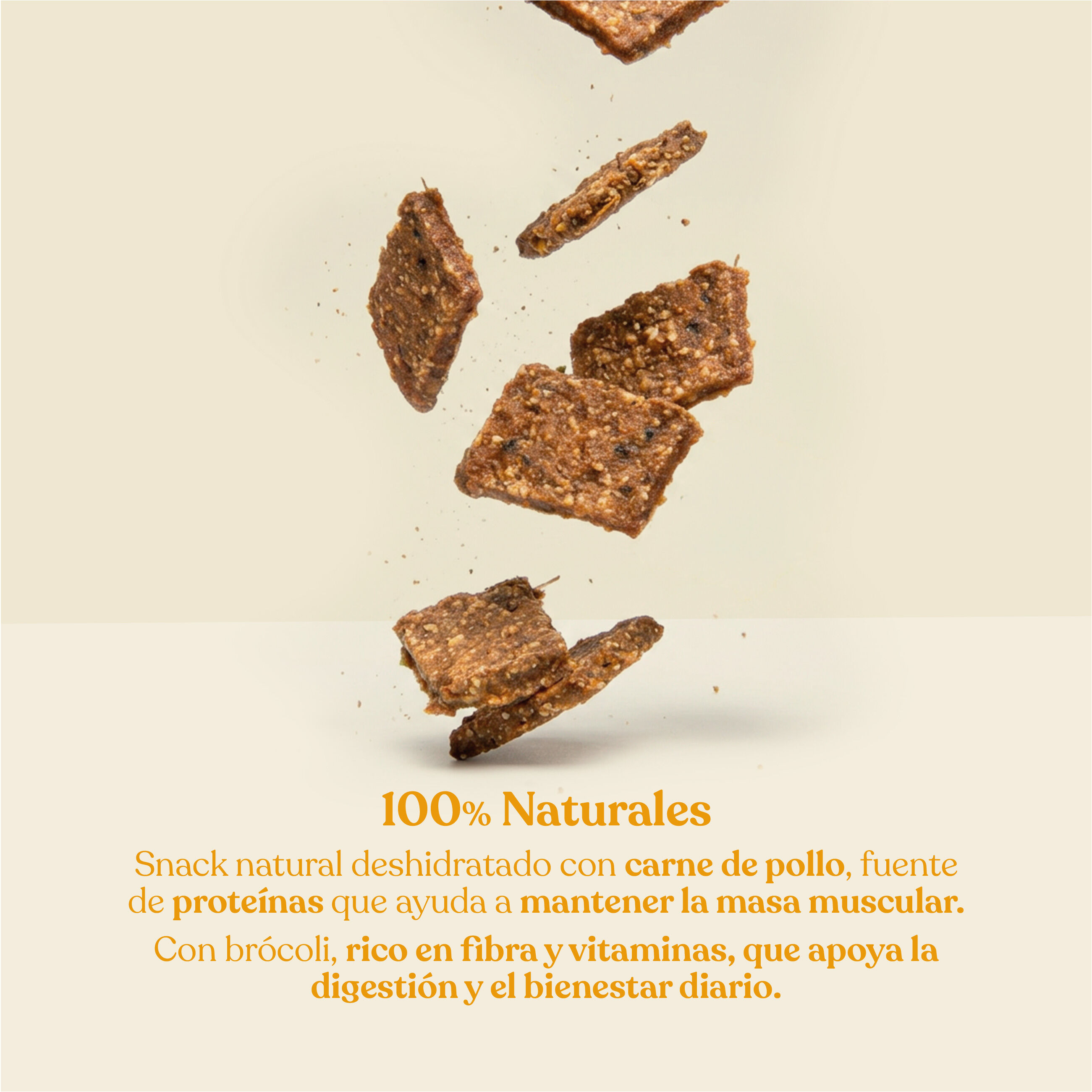 Galletas de Pollo con Br&oacute;coli para Perros dr.bimix | Snack Natural Premium, , large Imagen numero 2