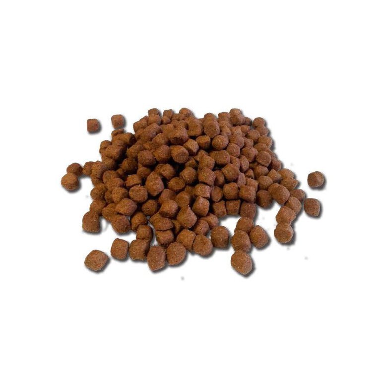 Pienso Farm Nature Adult Chicken para perros sabor Pollo, , large image number null