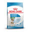 8 kg Royal Canin Starter MotheryBaby Mini pienso para perros, , large indicador imagen numero 1