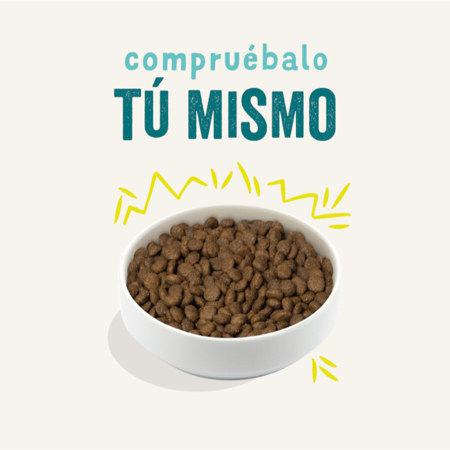 7 kg Edgard & Cooper Zanahoria y Calabac&iacute;n pienso para perros, , large Imagen numero 2