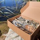 Caja de snacks naturales con salmón, caballa y bacalao para perros, , large image number null