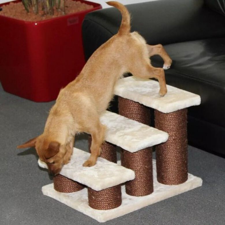 Escalera para mascotas color Beige y Marrón thumbnail