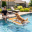 PawHut Rampa Perros Piscina Naranja, , large indicador imagen numero 2