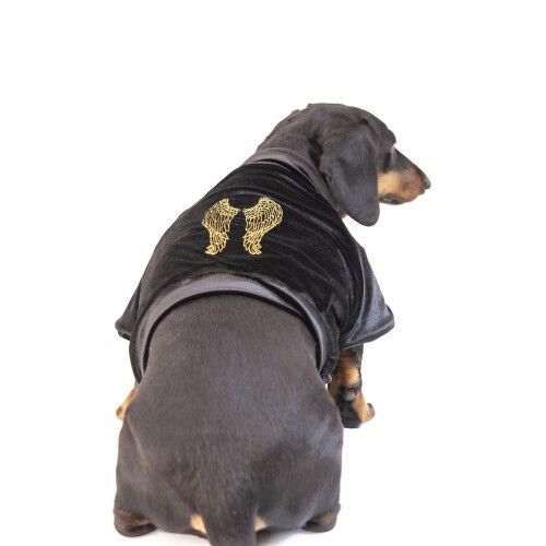 Chaqueta de terciopelo &Aacute;ngel para perros color Negro, , large Imagen numero 3