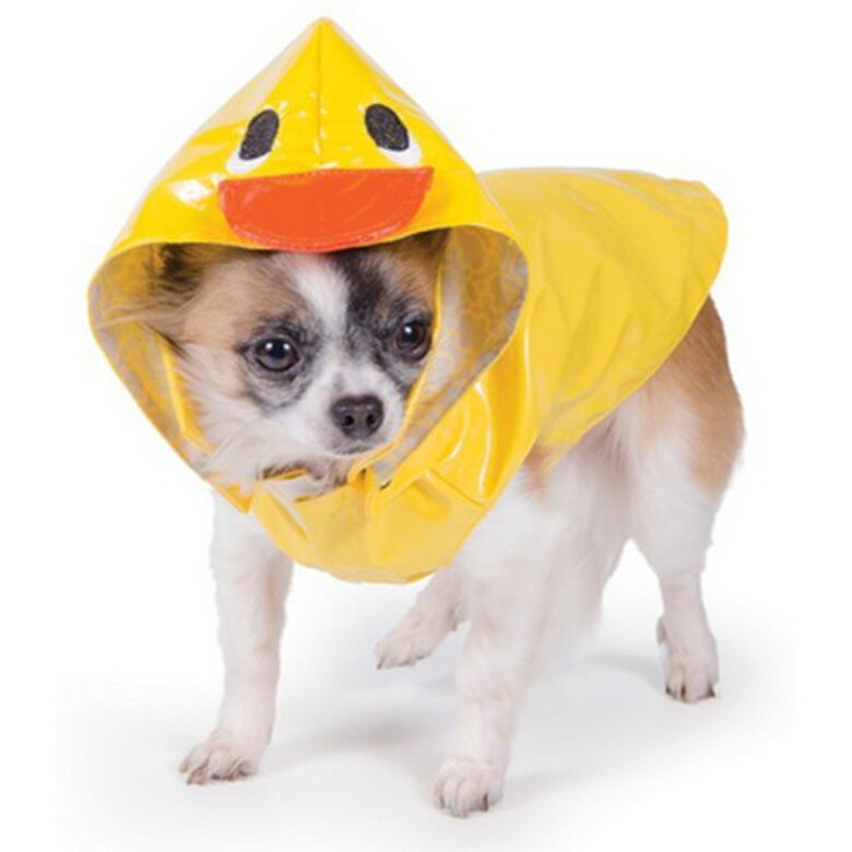Chubasquero con capucha diseño de pato Small Bite para perros color Amarillo, , large image number null