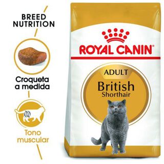 Royal Canin Adult British Shorthair pienso para gatos