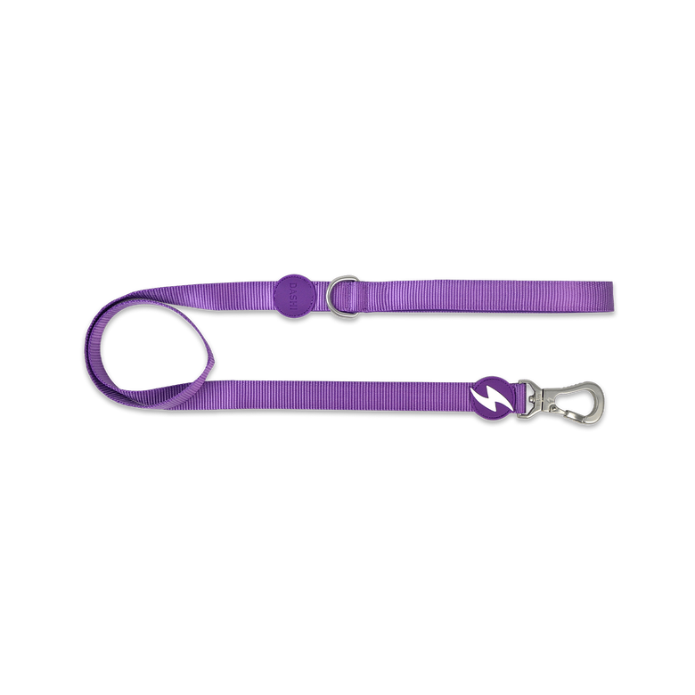 Dashi correa de nylon púrpura para perros, , large image number null