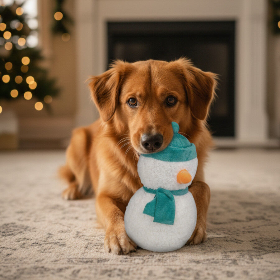 Wonder Christmas Peluche Muñeco de Nieve Navideño para perros thumbnail