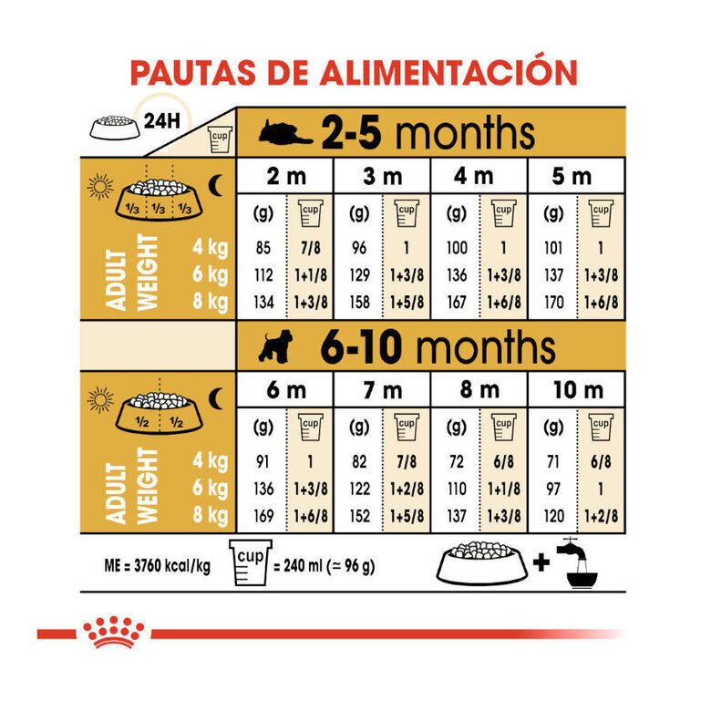 Royal Canin Puppy Miniature Schnauzer pienso para perros thumbnail