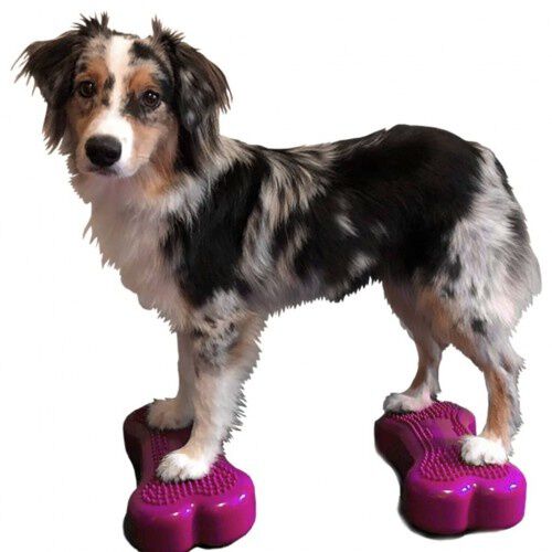 Plataforma de equilibrio para mascotas color Rosa, , large Imagen numero 1