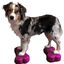 Plataforma de equilibrio para mascotas color Rosa, , large indicador imagen numero 1