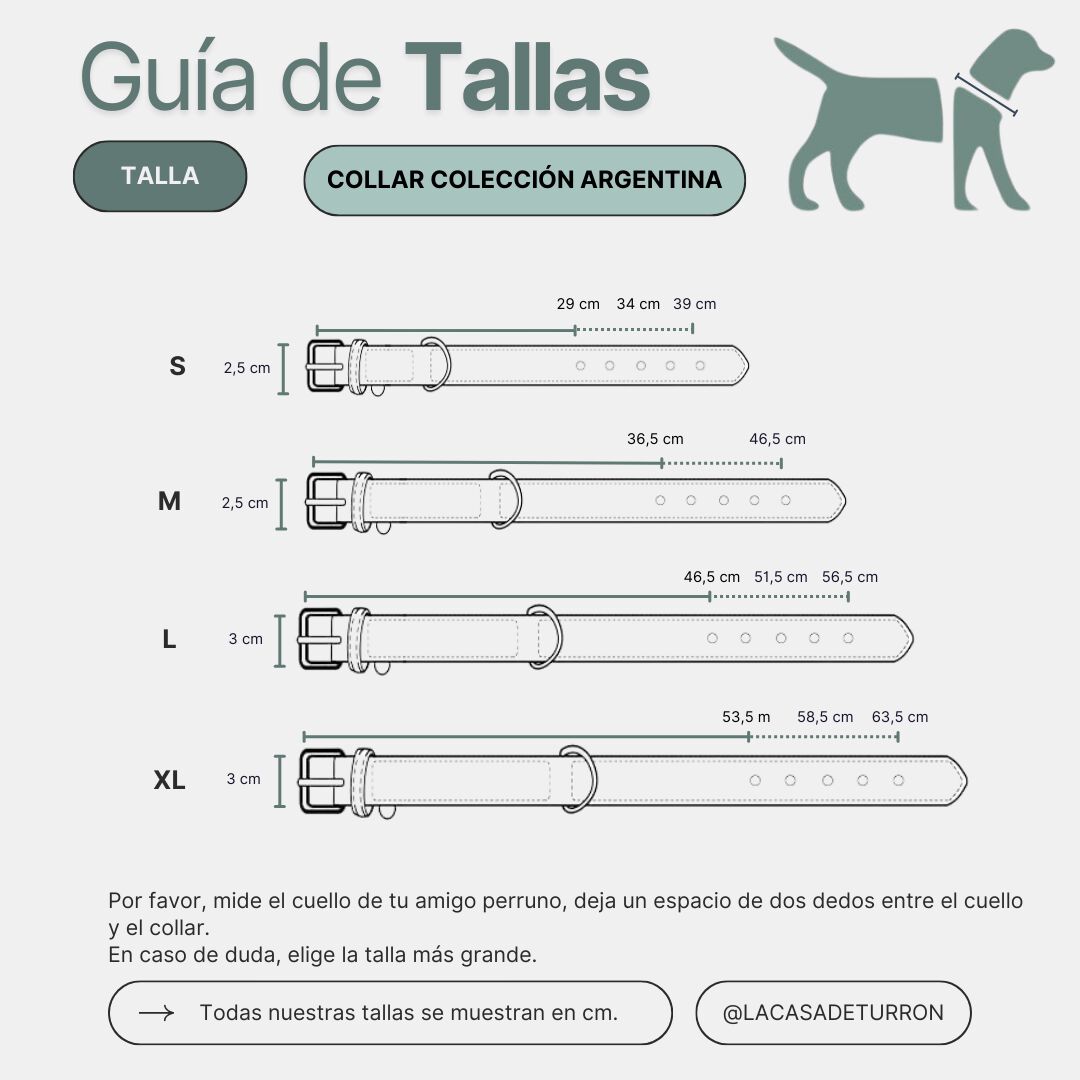La Casa de Turr&oacute;n - Collar de cuero para perro modelo Bariloche - Elegante y Duradero, , large Imagen numero 5