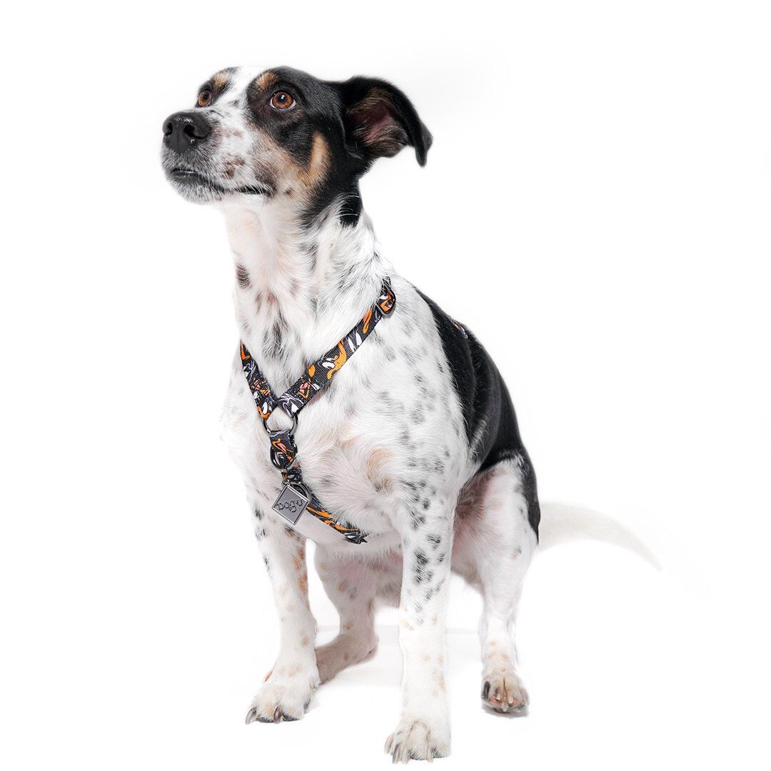 Arn&eacute;s Antitirones - H Slim - Pato Lucas, , large Imagen numero 3