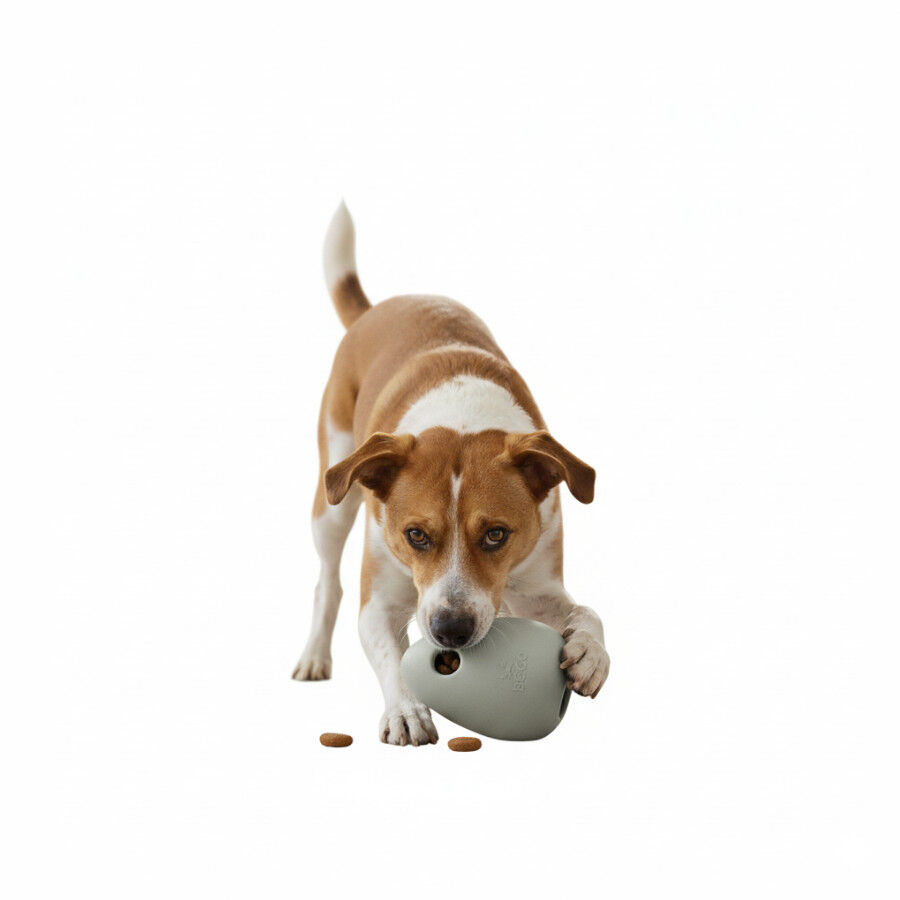 BECO Portagolosinas de Goma Verde para perros, , large Imagen numero 6