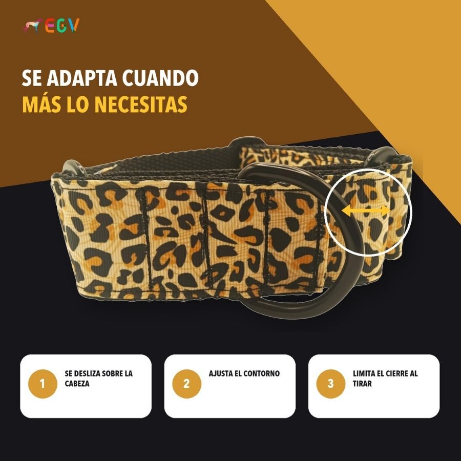 EGV - Collar Martingale 4 cm ancho, Collar galgo hecho a mano en Espa&ntilde;a (Leopardo), , large Imagen numero 3