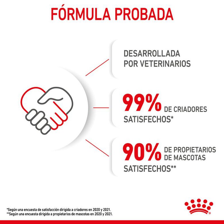 Royal Canin Kitten pienso para gatos, , large image number null