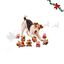 Wonder Christmas Colecci&oacute;n Capibara Juguete para perros, , large indicador imagen numero 1