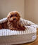 Cama Perro con Capucha Chenilla Beige, Maso, , large indicador imagen numero 4
