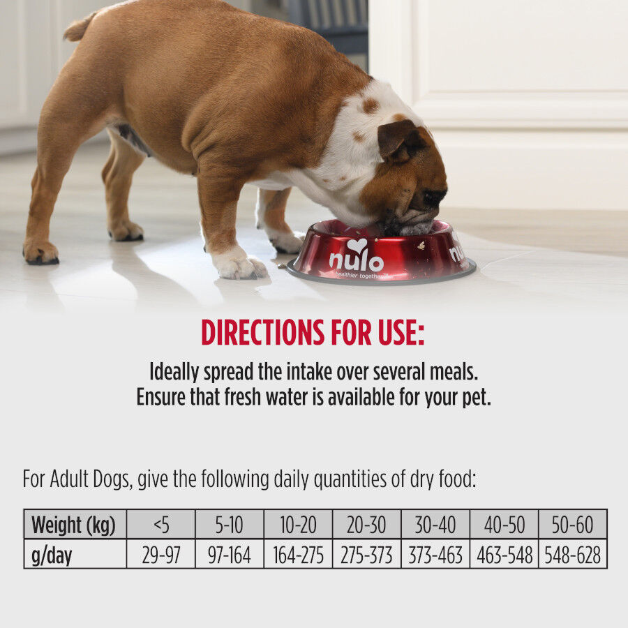 9 kg Nulo Raw Medley Salm&oacute;n Boniato y Pavo Pienso para perros, , large Imagen numero 4