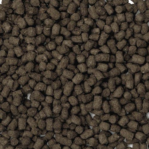 Alimento Bug Bites gr&aacute;nulos para tortugas, , large Imagen numero 2