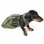 Abrigo protector para perro Ortocanis, , large indicador imagen numero 1