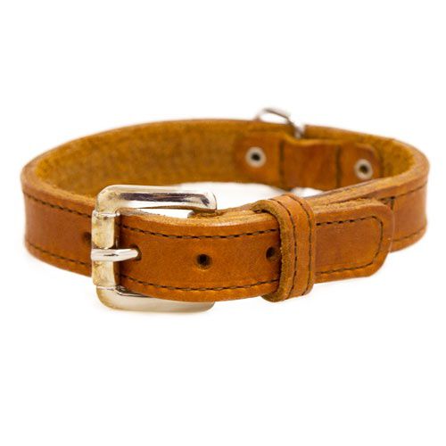 TK-Pet Namur cognac collar de cuero para perros Imagen numero 1
