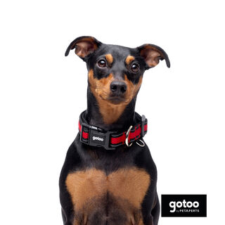 Gotoo Collar de malla transpirable rojo para perros