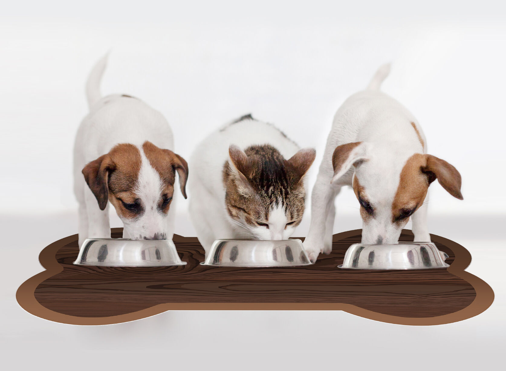 VINILIKO, alfombra de vinilo mascotas, Bone 90x150 cm, , large Imagen numero 2