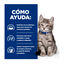 12 latas x 85 g Hill's Prescription Diet I/D Digestive Care Kitten Lata Pollo para gatos, , large indicador imagen numero 4