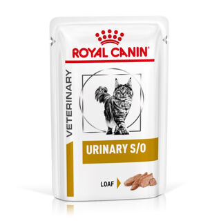 Royal Canin Adult Veterinary Urinary paté sobre para gatos