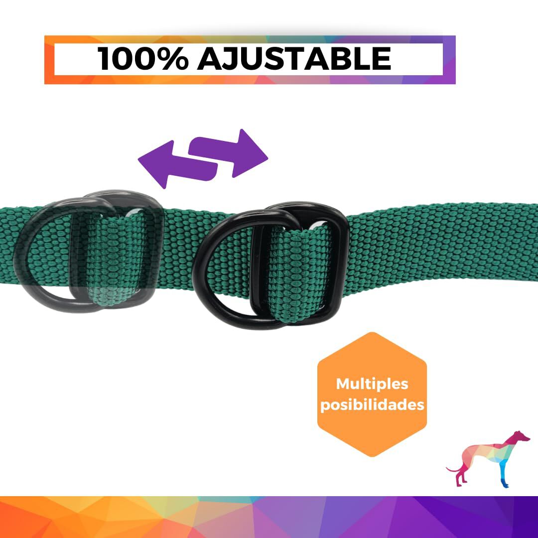 EGV - Correa multiposicion perro con doble asa de neopreno. Correa perro manos libres de 2,50 metros de longitud. (Verde botella), , large Imagen numero 3
