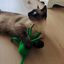 Peluche pulpo juguete para gato de lana natural Tentac, , large indicador imagen numero 4