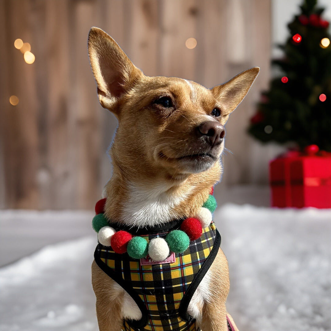 Collar De Perro Personalizado Con Pompones, , large Imagen numero 3