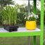 Invernadero Politúnel con Estanterí­a Galvanizada de Jardí­n Carpa de Cultivo 19mm 5 x 2m, , large indicador imagen numero 8