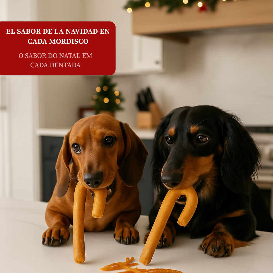 2 snacks Wonder Christmas Snack Navide&ntilde;o para perros, , large Imagen numero 4