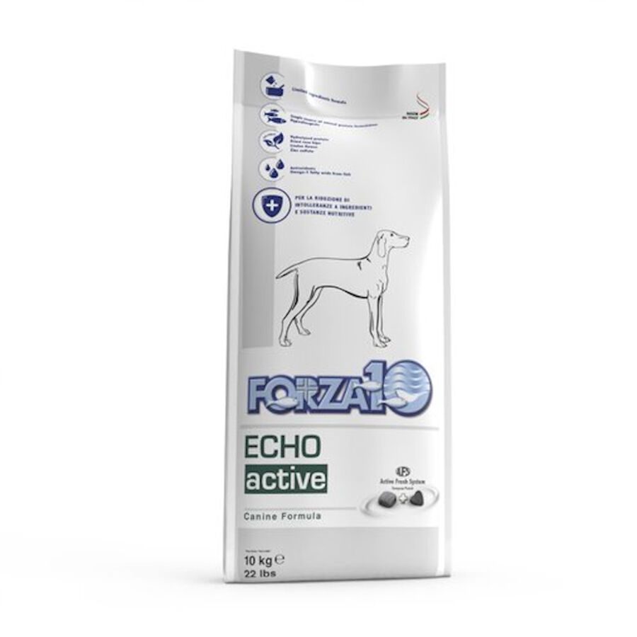 10 kg Forza 10 Oto Active Pescado pienso para perros, , large Imagen numero 1
