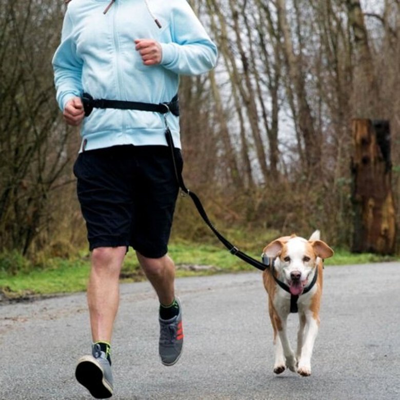 para correr con perros Negro